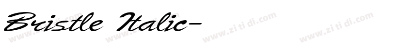 Bristle Italic字体转换 Bristle Italic字体转换